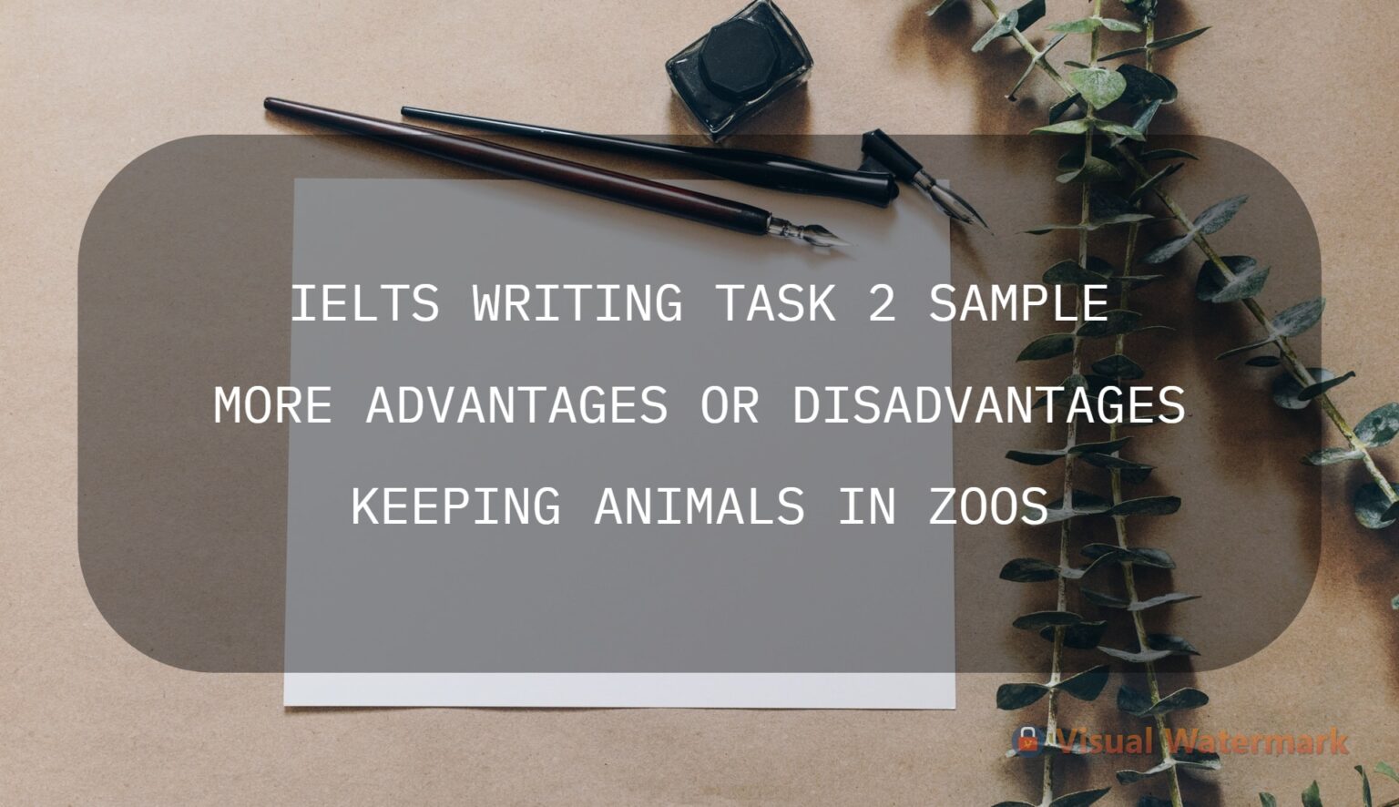 animal ielts essays